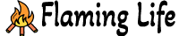 FlamingLife Logo