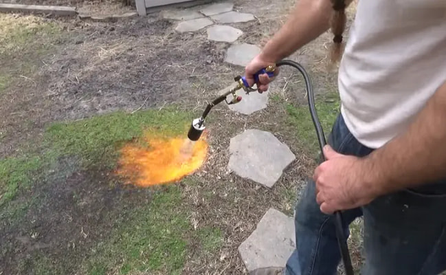 What is the Best Propane Torch?
